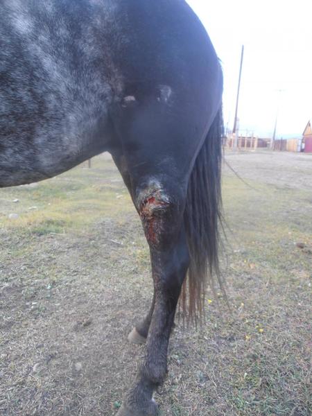 post-65722-0-10566900-1410611726_thumb.j