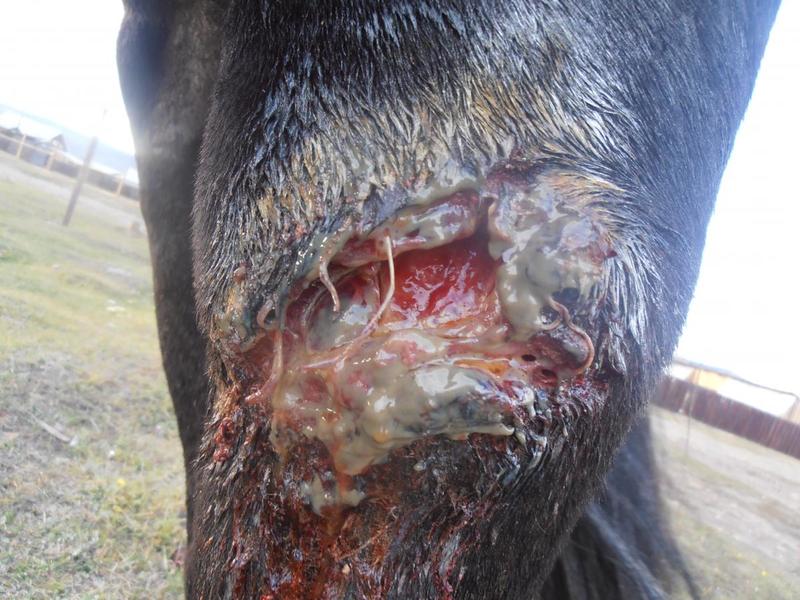 post-65722-0-36043200-1410611812_thumb.j