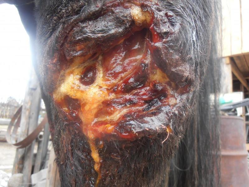 post-65722-0-76109200-1411014858_thumb.j