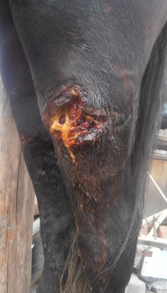 post-65722-0-94038600-1411018286_thumb.j