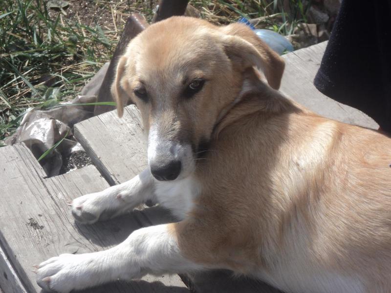 post-70078-0-58102800-1409975048_thumb.j