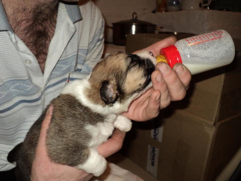 post-70078-0-93991100-1409974895_thumb.j