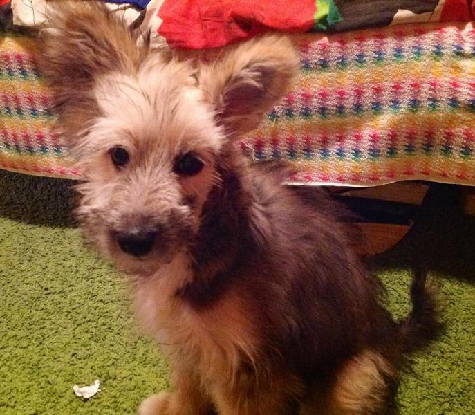 post-76531-0-29729800-1412084997_thumb.j