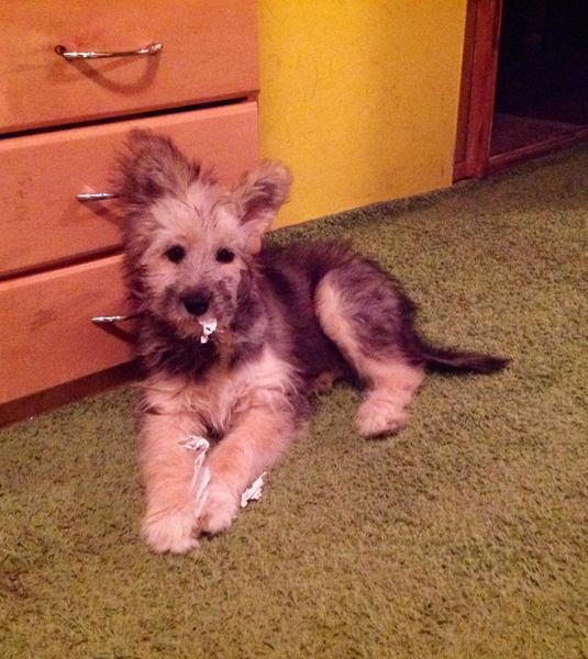 post-76531-0-64880500-1412084958_thumb.j