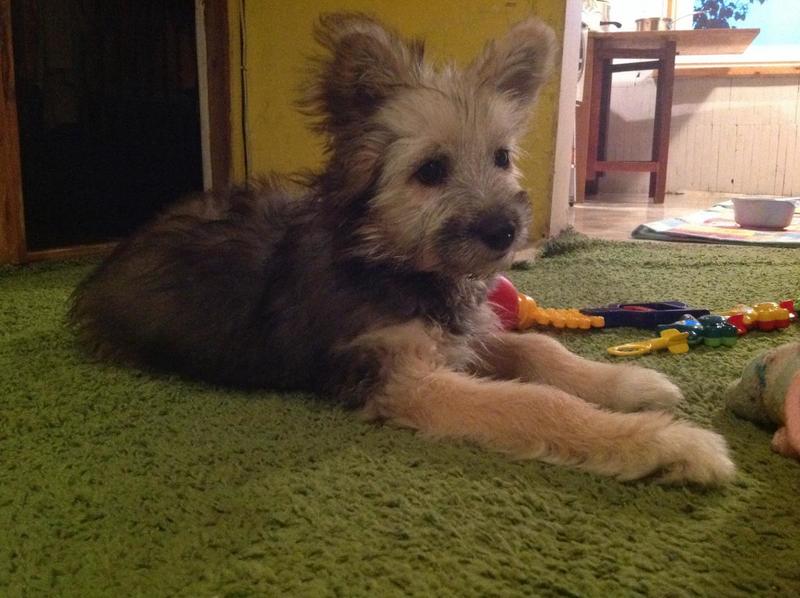 post-76531-0-95643600-1412085025_thumb.j