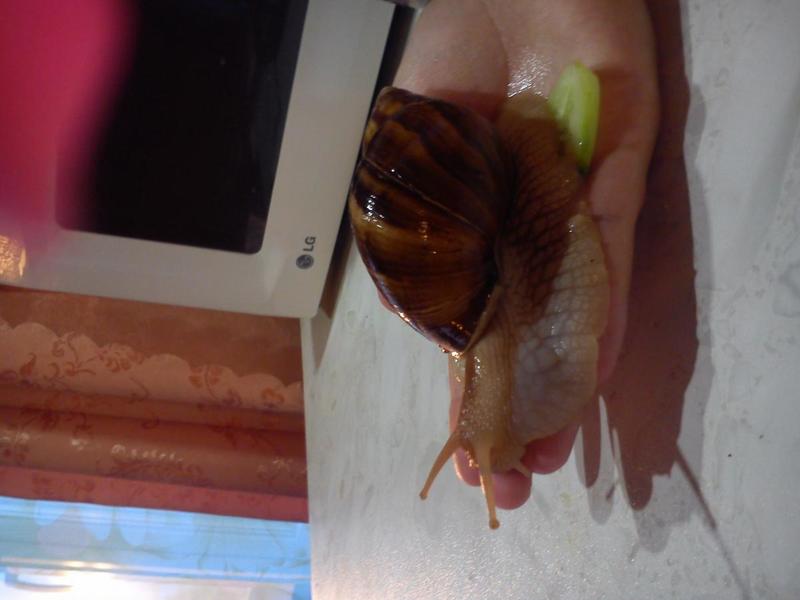 post-77046-0-12970700-1410402885_thumb.j