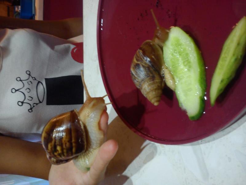 post-77046-0-75910900-1410406949_thumb.j