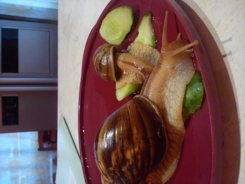 post-77046-0-77919200-1410402912_thumb.j