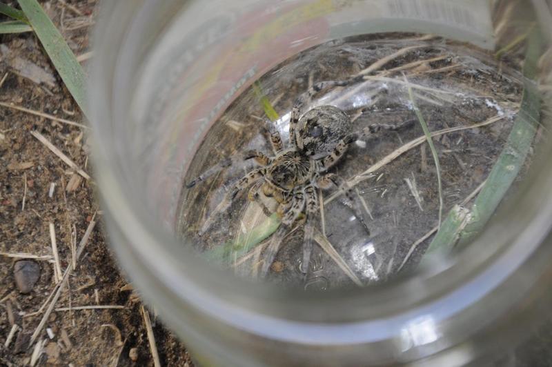 post-15695-0-81489200-1443334245_thumb.j