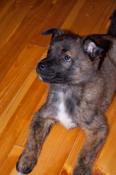 post-2060-0-07046600-1443154943_thumb.jp