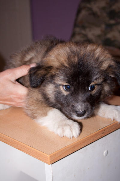 post-2060-0-25698500-1442539714_thumb.jp