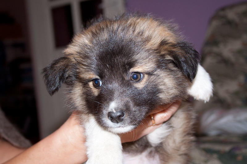 post-2060-0-35084100-1442539721_thumb.jp