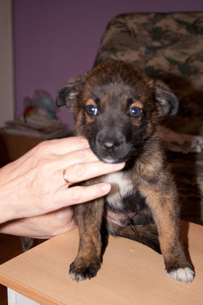 post-2060-0-36640900-1442539699_thumb.jp