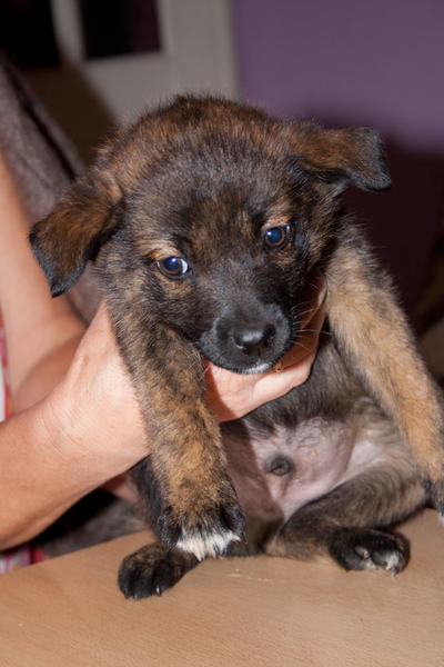 post-2060-0-57057300-1442539706_thumb.jp