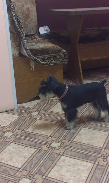 post-88106-0-39378200-1442536108_thumb.j