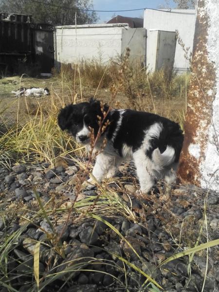 post-46997-0-19561900-1412662061_thumb.j