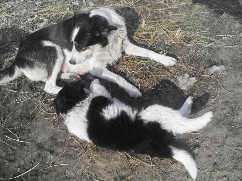 post-46997-0-47612900-1412662117_thumb.j