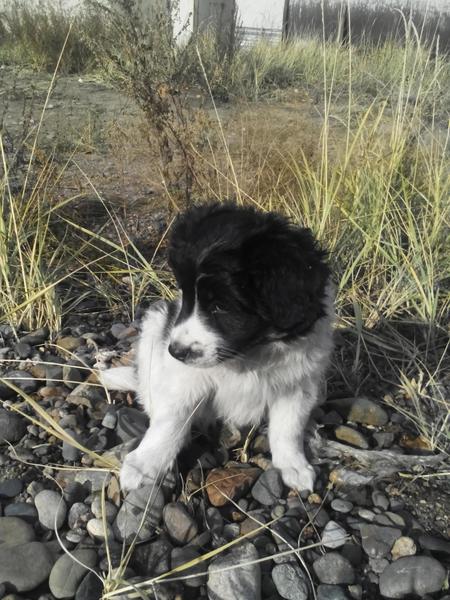 post-46997-0-96332700-1412662003_thumb.j