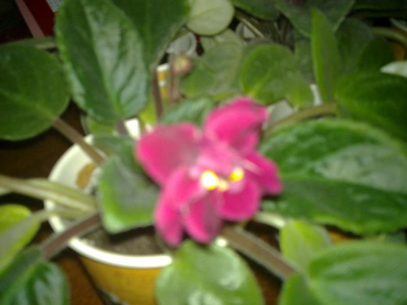 post-50855-0-83793900-1413527307_thumb.j