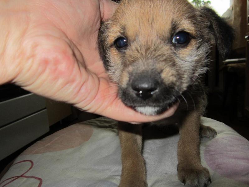 post-56503-0-41063200-1412689758_thumb.j