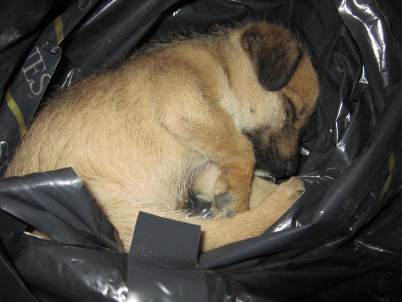 post-56503-0-64263500-1412689738_thumb.j