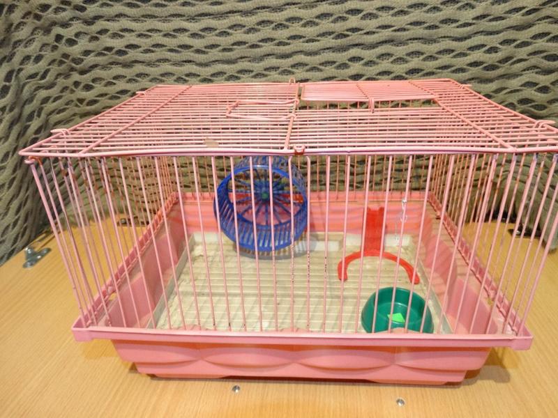 post-77056-0-74135100-1414580621_thumb.j