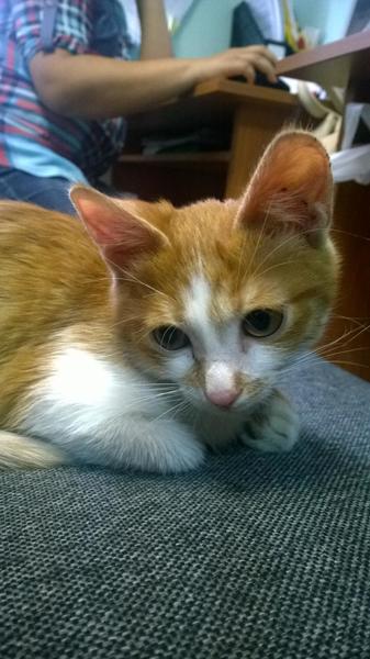 post-78846-0-62485300-1413247438_thumb.j