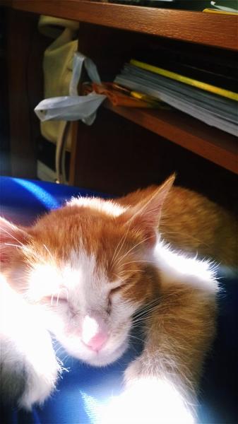 post-78846-0-87738300-1413247418_thumb.j