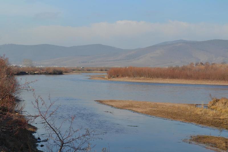 post-1449-0-37619000-1445616366_thumb.jp