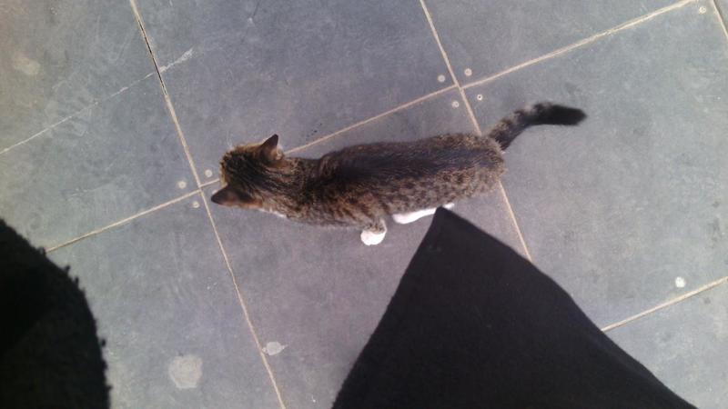 post-33870-0-34250000-1443718633_thumb.j