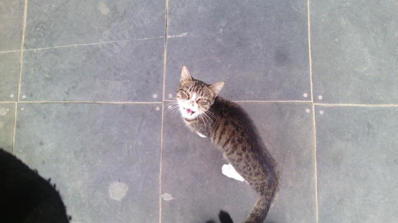 post-33870-0-50687300-1443718652_thumb.j