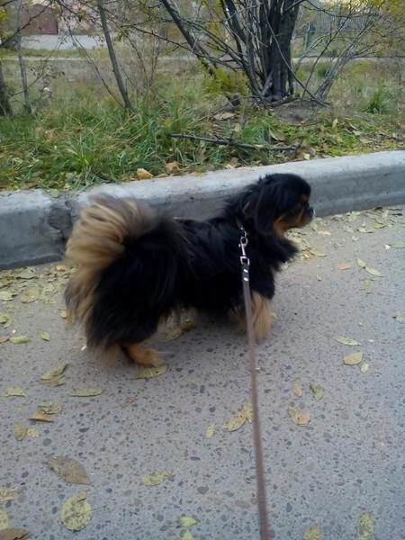 post-63683-0-39892000-1444970808_thumb.j