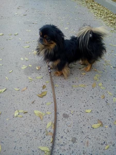 post-63683-0-82030700-1444970836_thumb.j