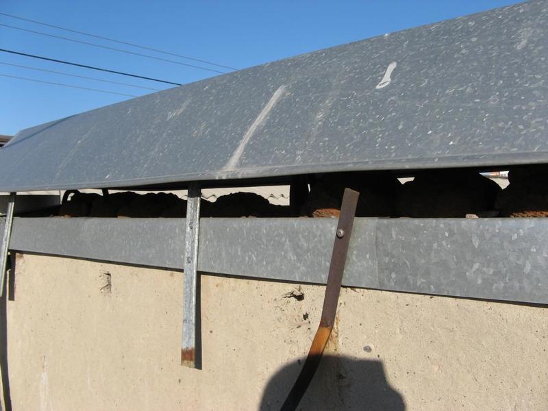 post-66803-0-17891400-1444637477_thumb.j