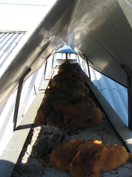 post-66803-0-34491200-1444637484_thumb.j