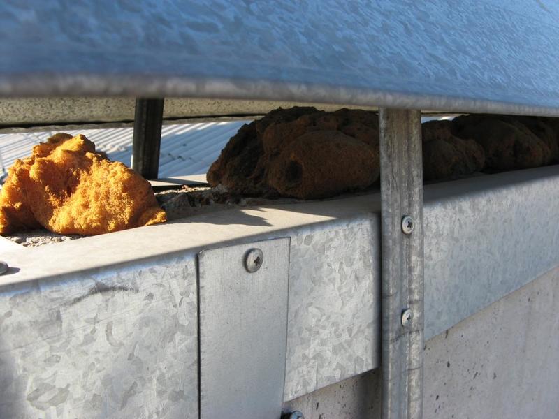 post-66803-0-44155600-1444637493_thumb.j