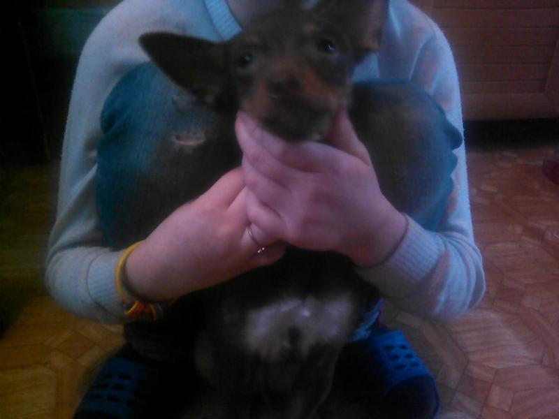 post-84282-0-43663200-1443668181_thumb.j