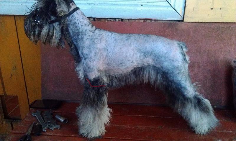 post-88106-0-15434900-1444877589_thumb.j