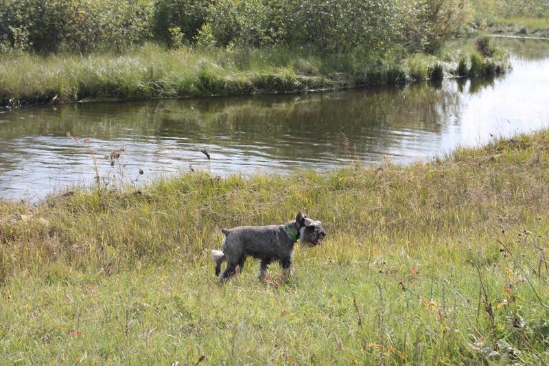 post-88106-0-50698800-1445622133_thumb.j