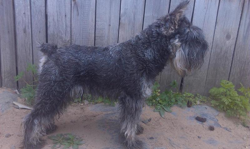 post-88106-0-50721600-1444877571_thumb.j