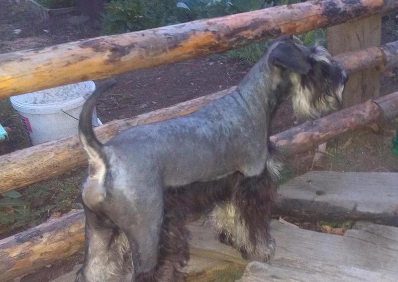 post-88106-0-61396400-1444877766_thumb.j