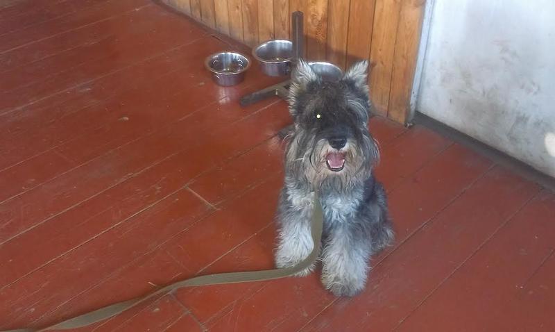 post-88106-0-87636600-1445621701_thumb.j