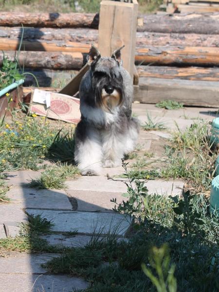 post-88106-0-94897200-1445622060_thumb.j