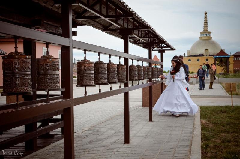 post-1446-0-77060700-1415511389_thumb.jp