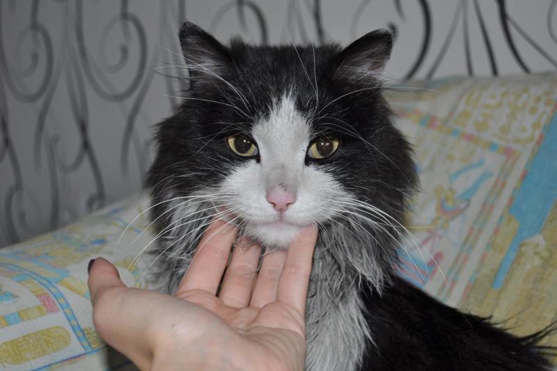 post-32404-0-50712500-1416981976_thumb.j