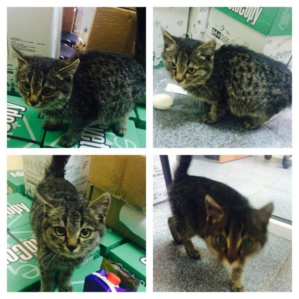 post-75455-0-64476400-1416465573_thumb.j