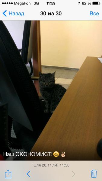 post-75455-0-75012800-1416465545_thumb.j