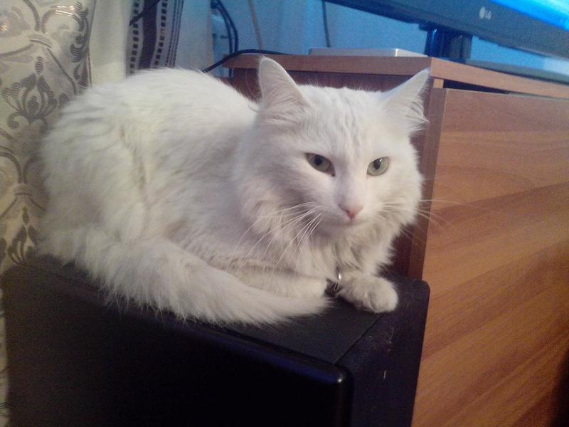 post-81177-0-15040000-1415782647_thumb.j