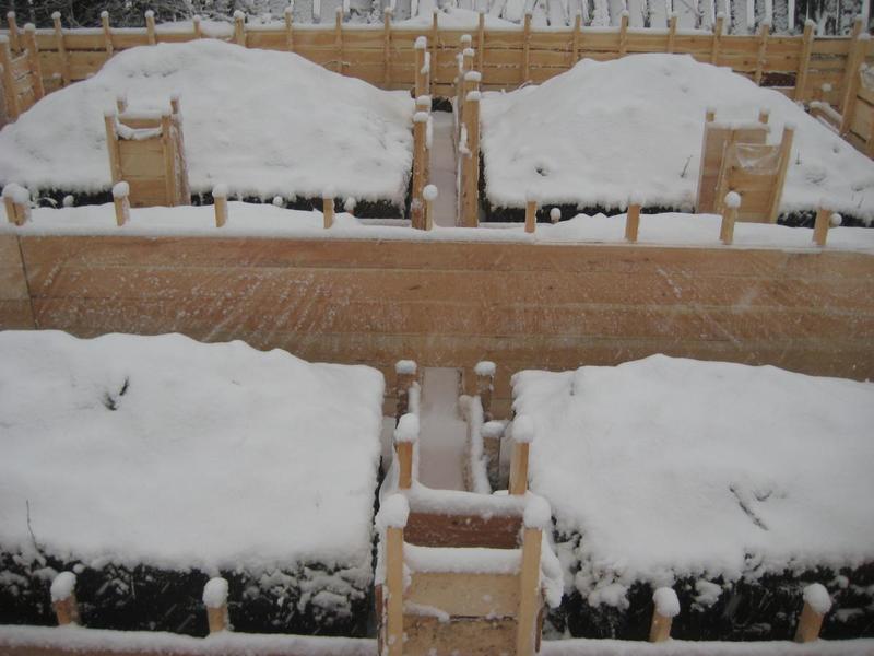 post-58006-0-53497200-1447077374_thumb.j