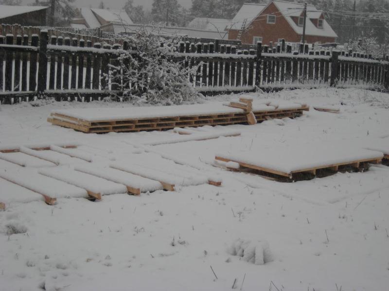 post-58006-0-59071900-1447077272_thumb.j